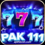 Pak111 game